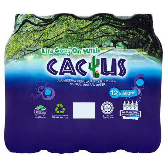 Picture of Cactus Natural Mineral Water 12 x 500ml